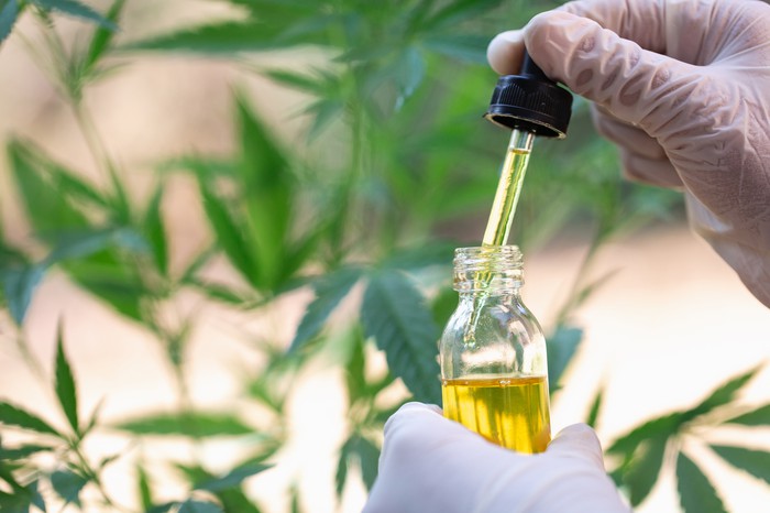 The CBD gummies