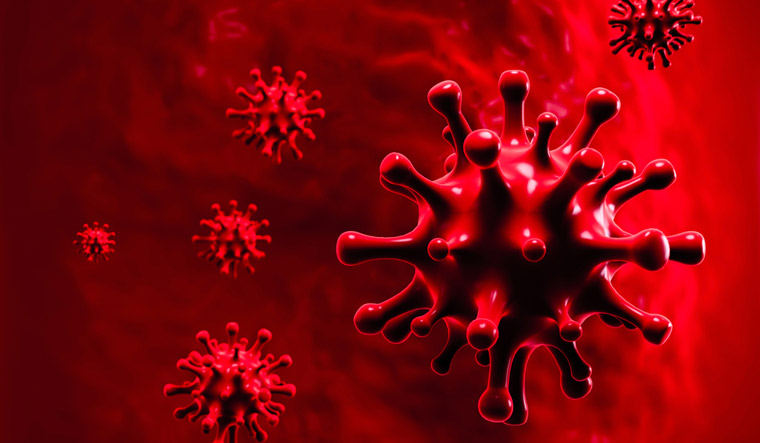 Symptoms of corona virus