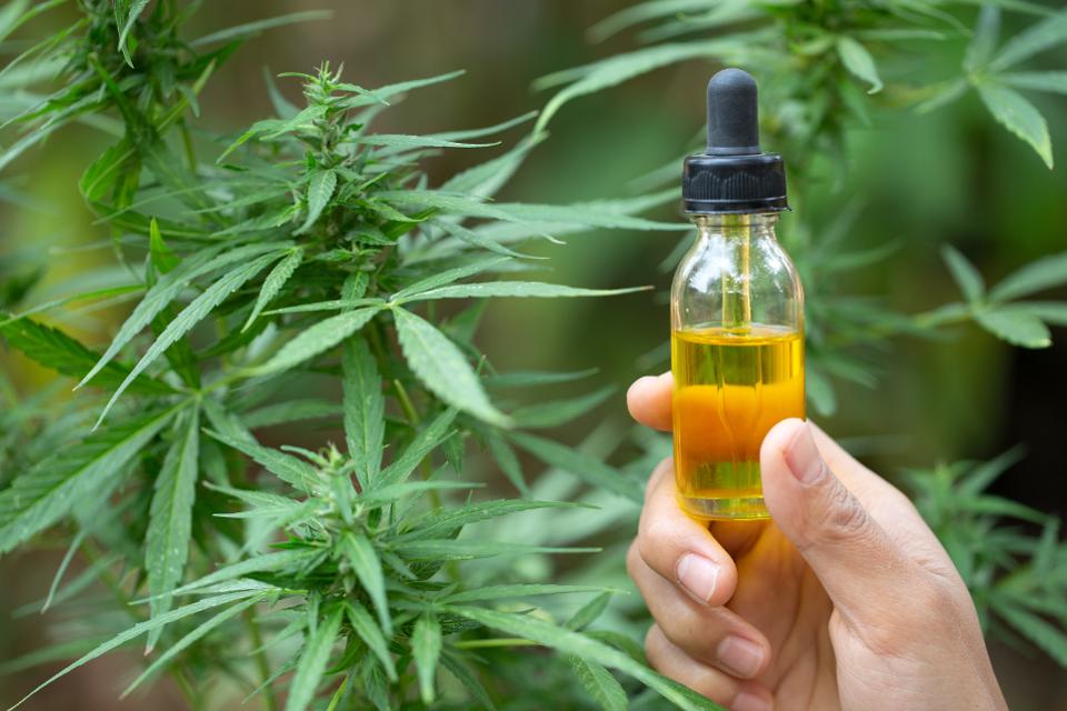 CBD Products
