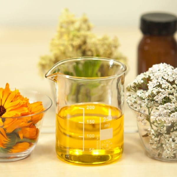 nardostachys oil