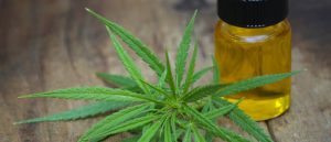 CBD gummies