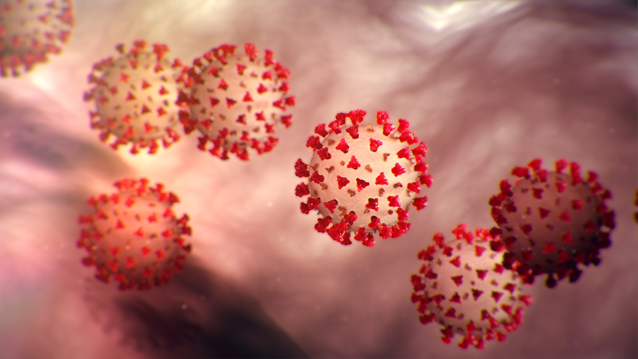 are already affected by this virus. The number of death is also rising by each passing day.