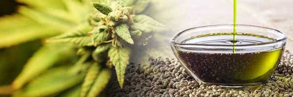 The difference between CBD oil and CBD tables