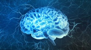What are different plans scheduled for neuro care patients